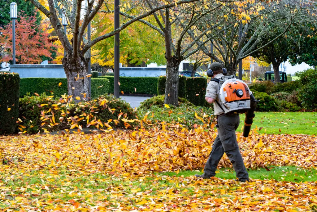 A worker uses a leaf blower to clear autumn leaves in a park.