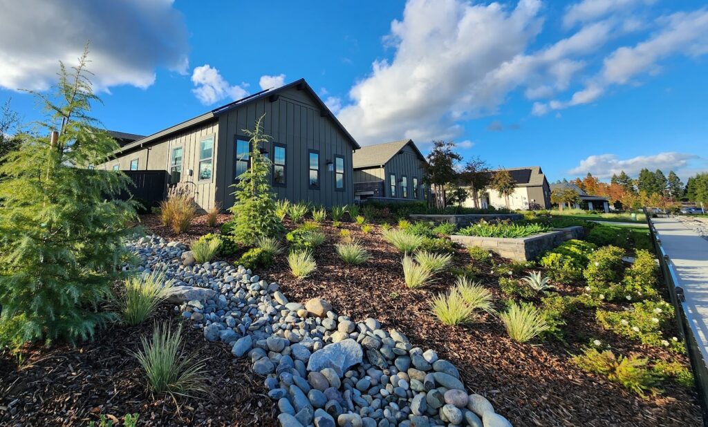 Sunlit modern homes with rock-lined garden