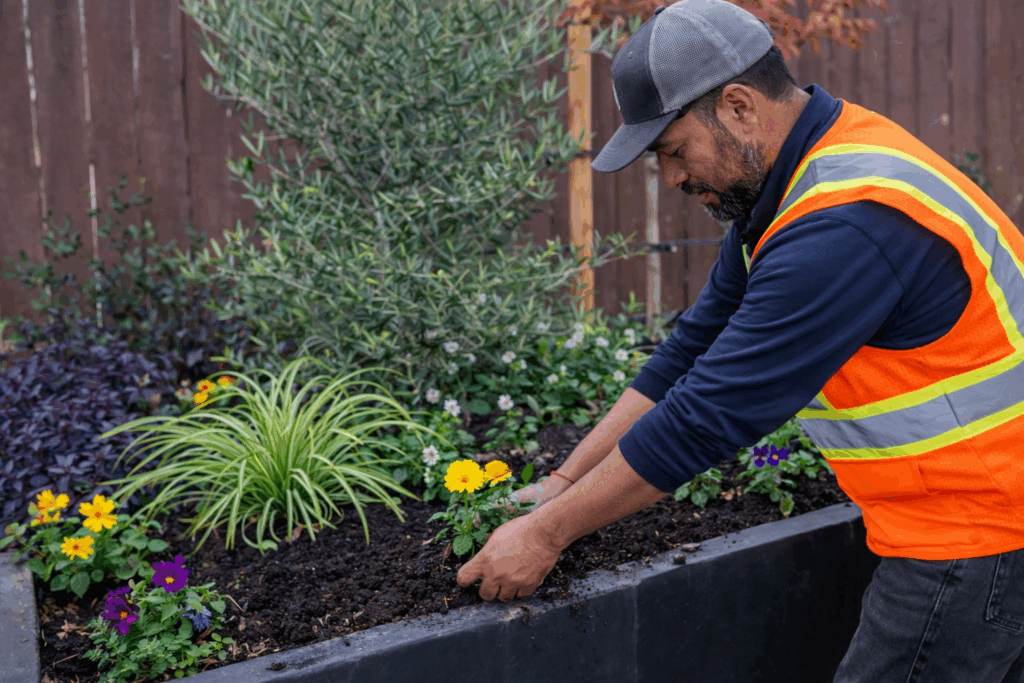 Landscaper planting flowers in raised garden bed